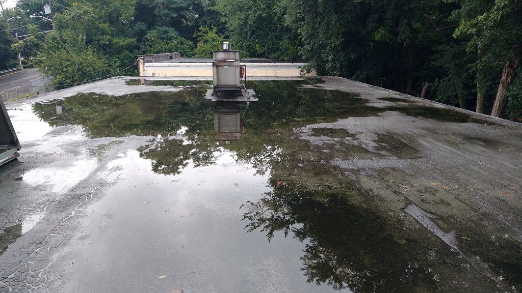 Flat roof covered with standing water, reflecting surrounding trees and a metal vent.