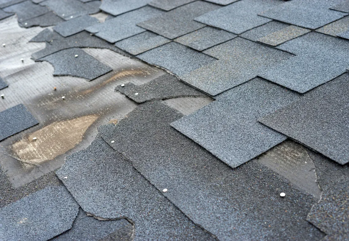 Damaged asphalt roof shingles, gray, with exposed underlayment and loose nails.