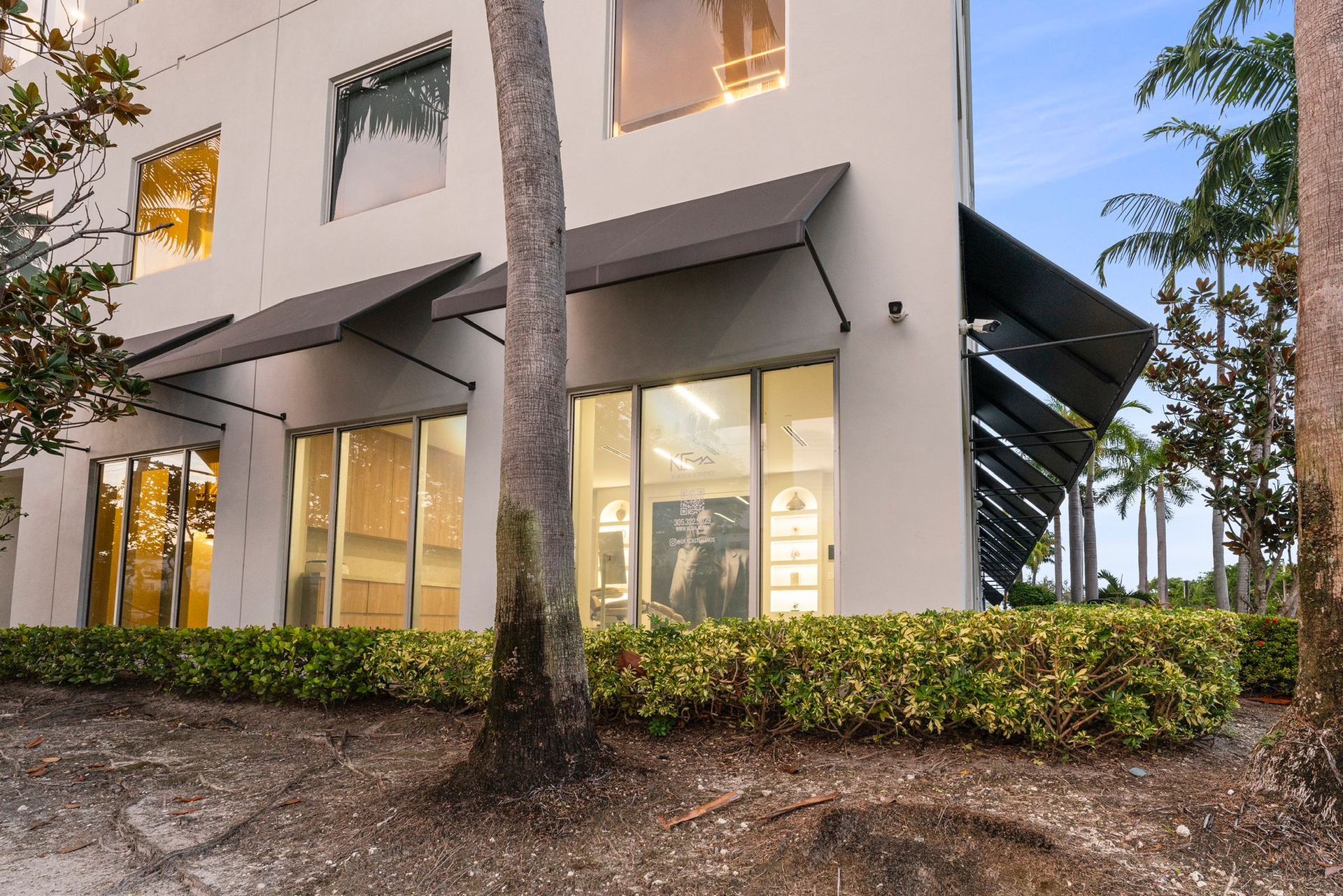 A large white building with a lot of windows and a tree in front of it.