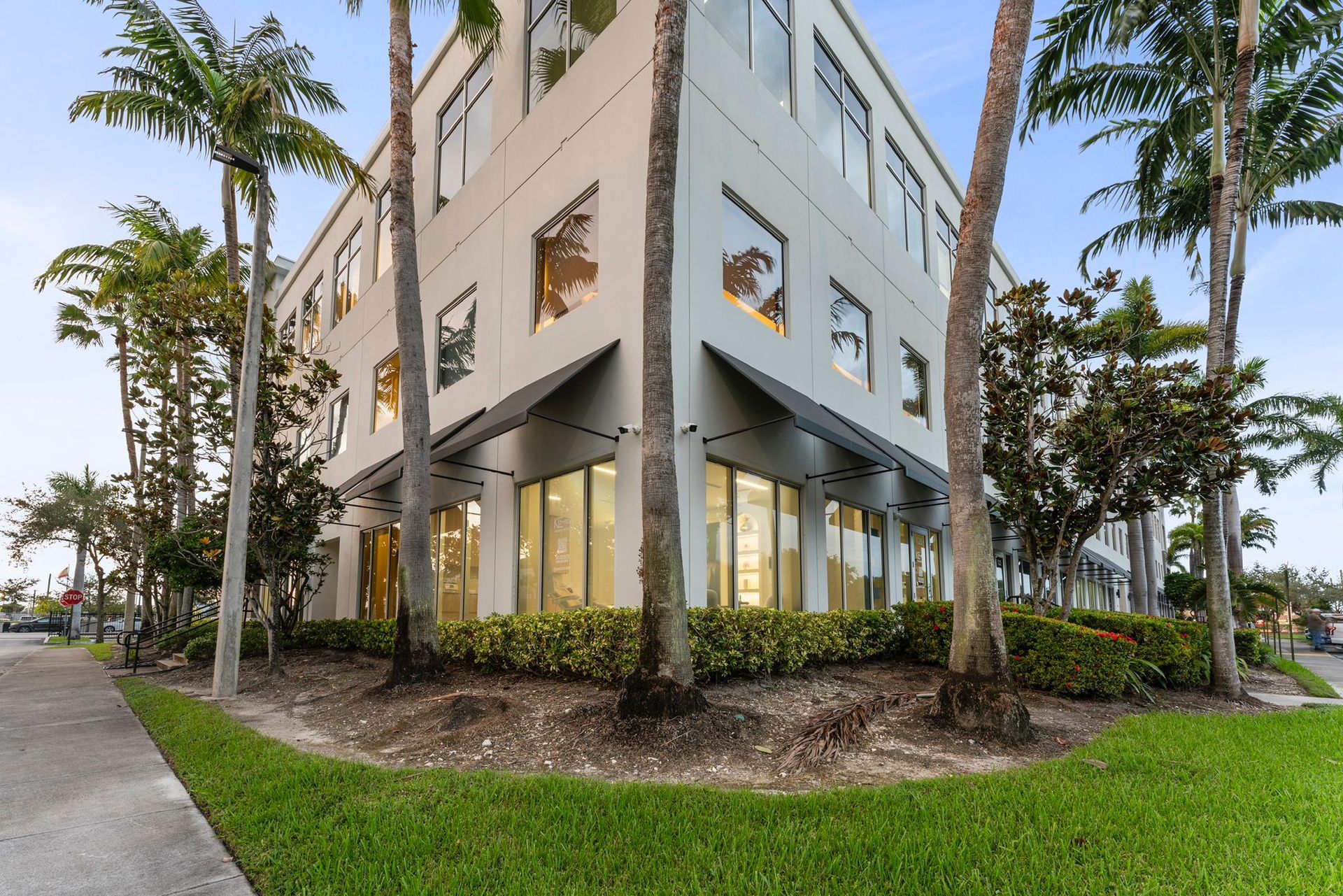 A building with a lot of windows is surrounded by palm trees