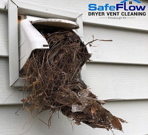 A bird nest is sitting on top of a dryer vent on the side of a house.