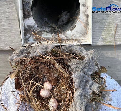 A bird nest with eggs in it next to a dryer vent.