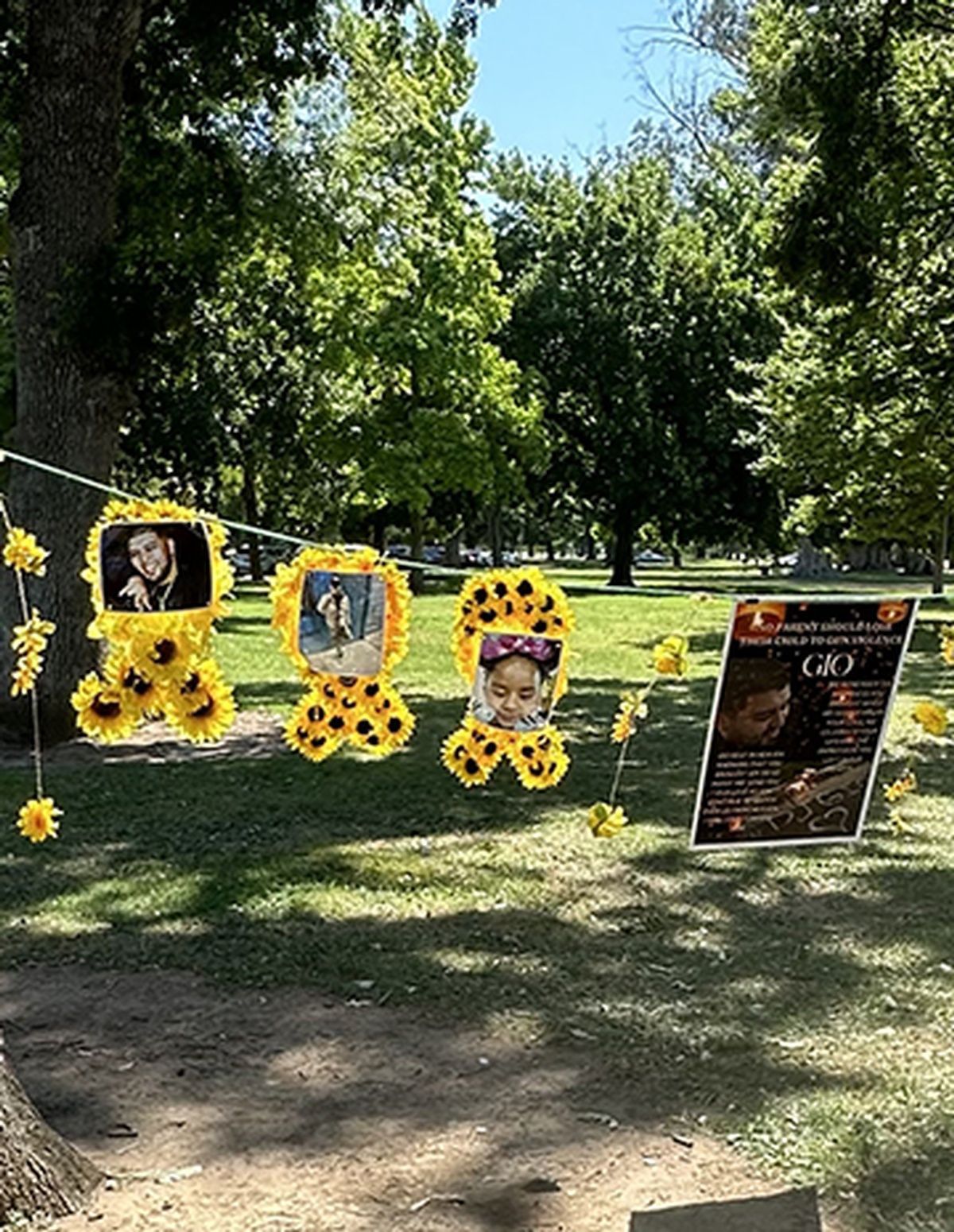 A group of pictures hanging from a tree in a park.