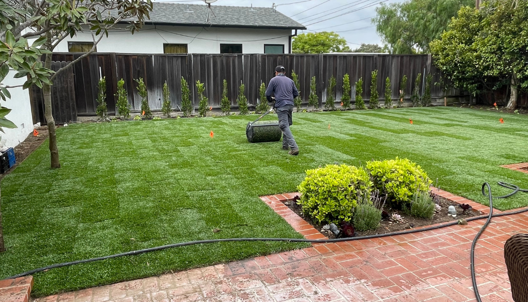 Turf & Sod Installation
