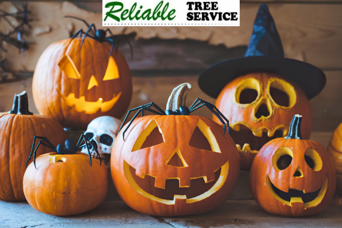 Pumpkin carving safety tips orange county.