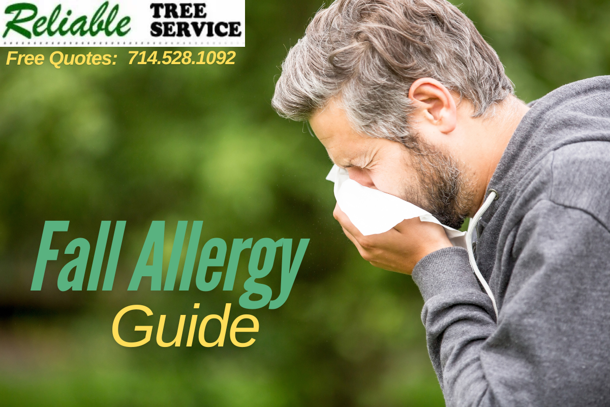 Allergies in Orange County