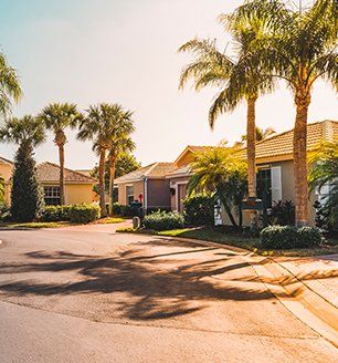 Tree Work — House with Trees in Yorba Linda, CA Tree Work — House with Trees in Yorba Linda, CA