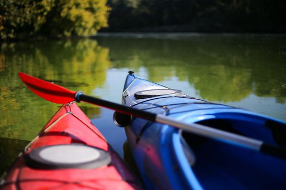 Two colorful kayaks with paddles resting on calm lake water