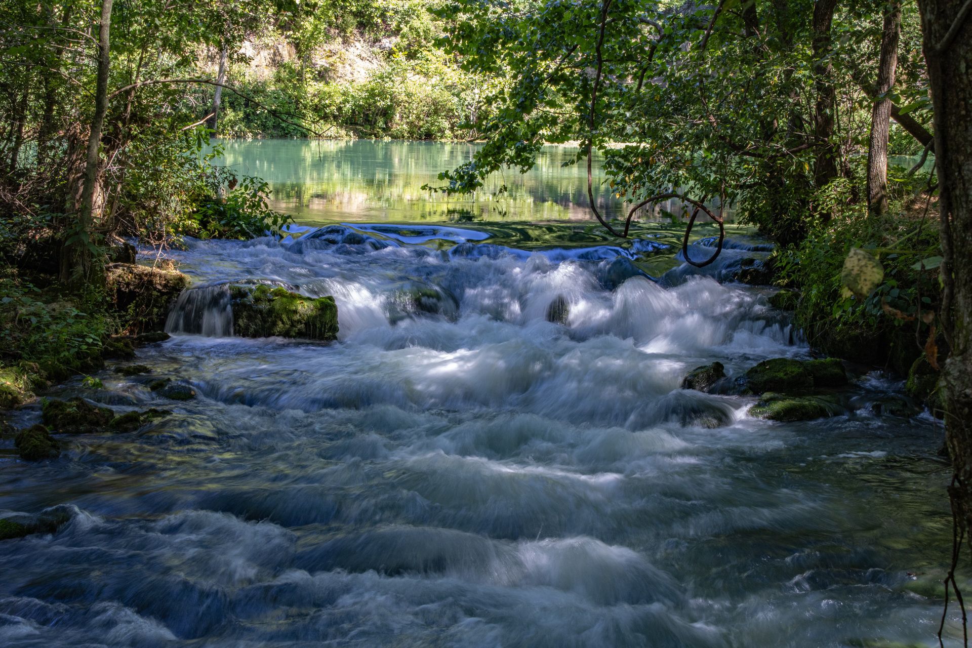 Rapid whitewater stream flowing through a lush green forest archway