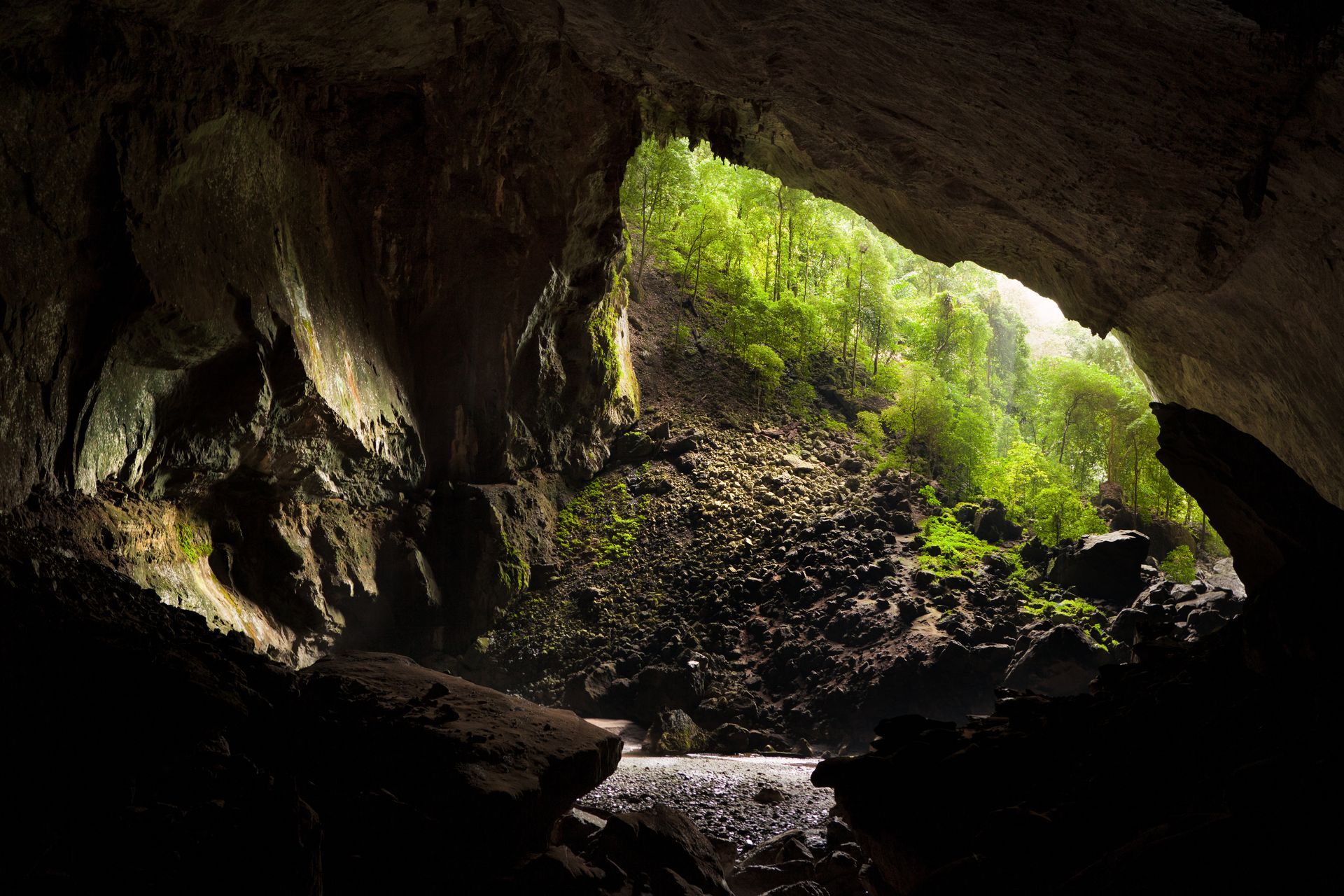 Dark cave opening with sunlight illuminating green foliage and rocky ground