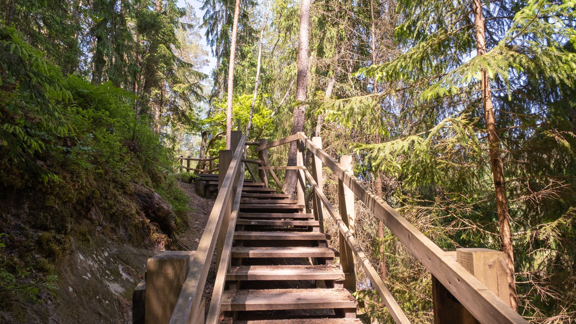 Wooden stairway ascending through a sunlit forest with railings on both sides