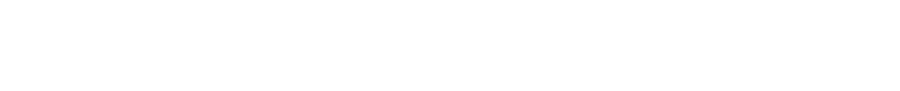 Two gray horizontal bars on a white background