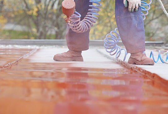 Roof Painting — Wix Painting Service in Mackay, QLD