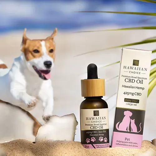 A bottle of hawaiian choice cbd oil next to a box.