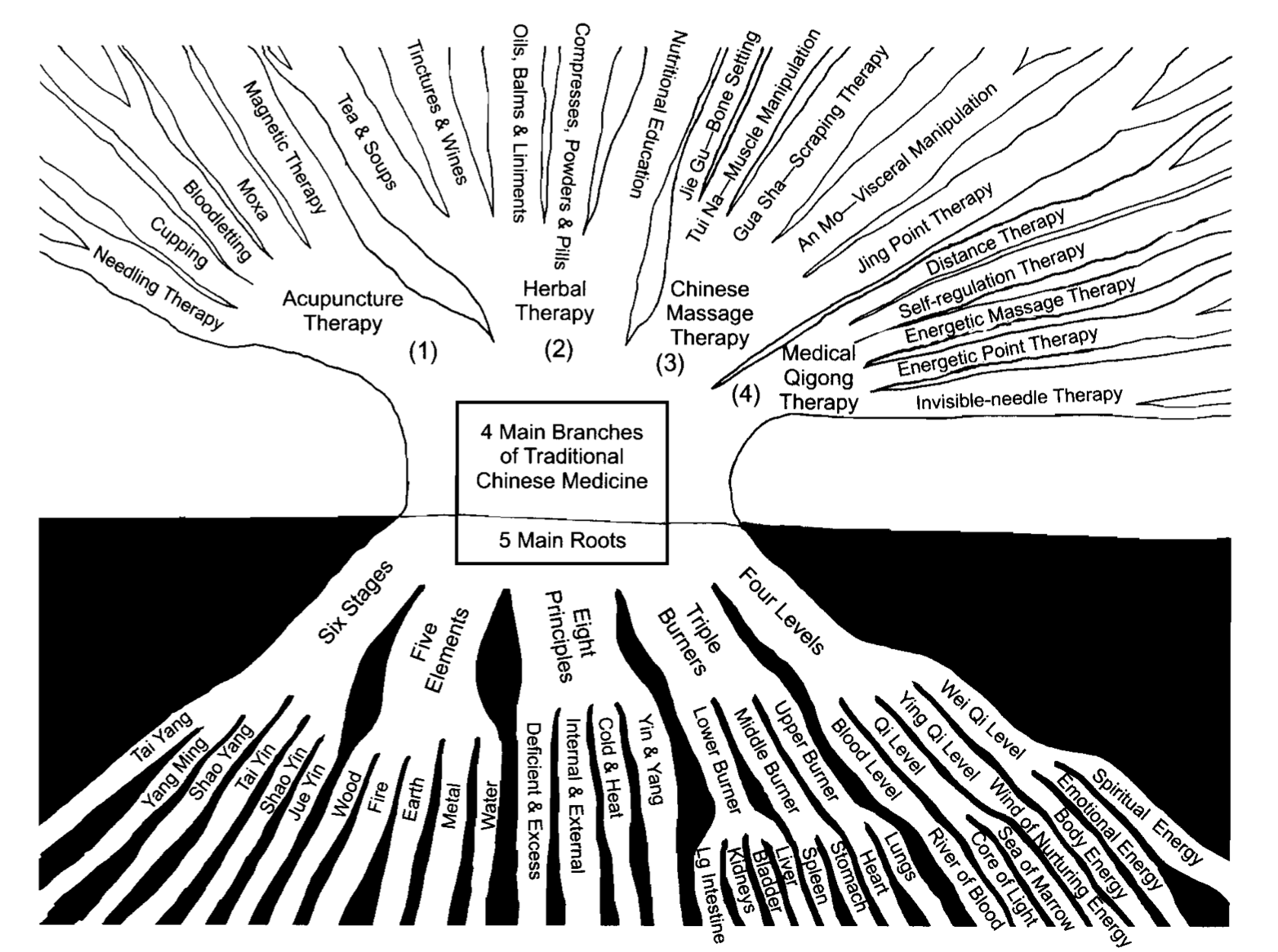 A black and white diagram of branches of traditional chinese medicine