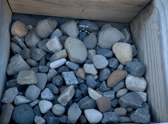 B canadian blue — New Castle, PA — 422 Landscape Supply & Hauling