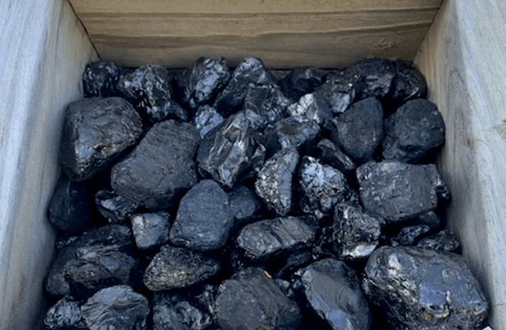 Black chestnut — New Castle, PA — 422 Landscape Supply & Hauling