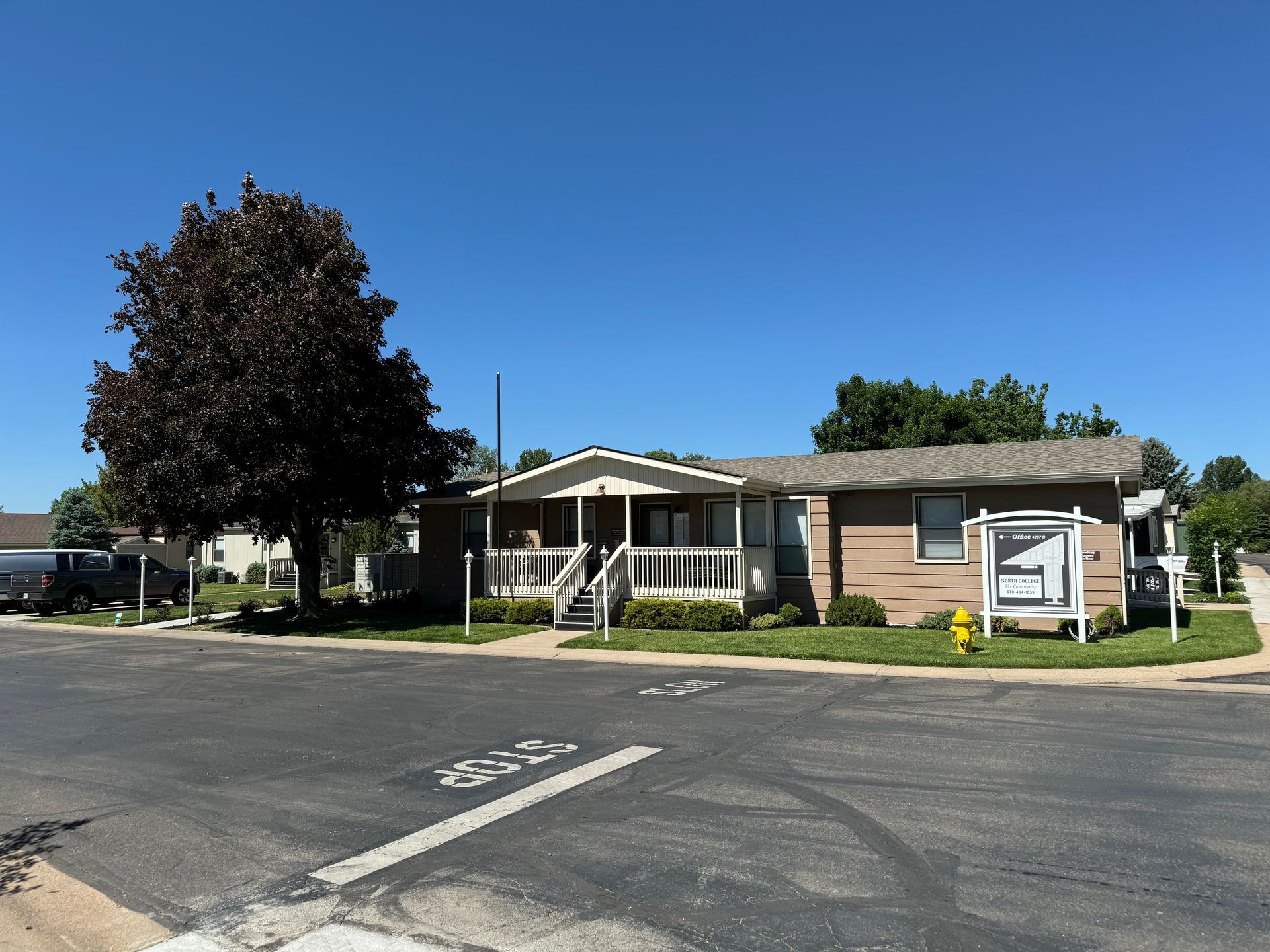 mobile homes and trees