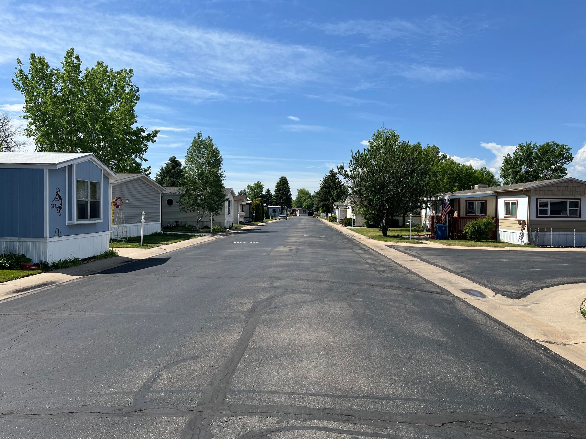 mobile homes and trees