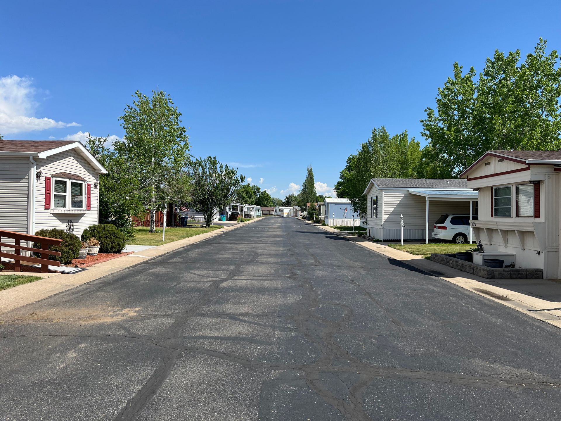 mobile homes and trees