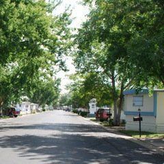 Row of mobile homes.
