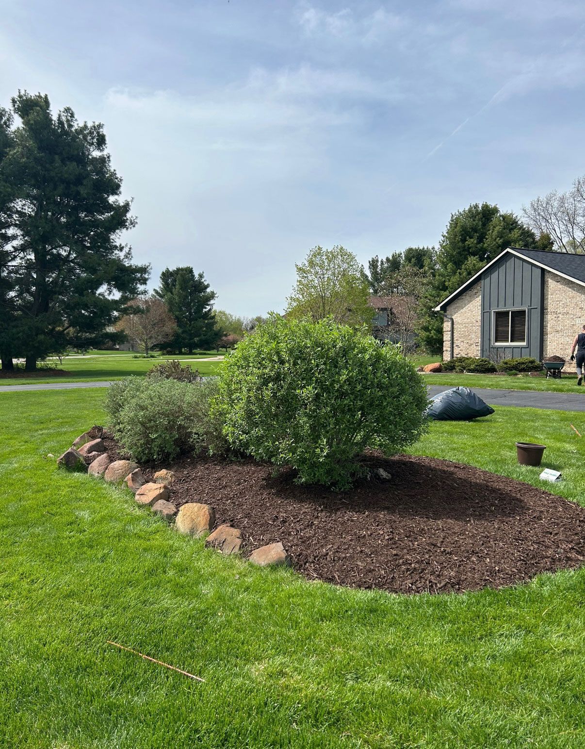 Garden bed with bushes, brown mulch, and rock border on a grassy lawn. Cloudy sky background.