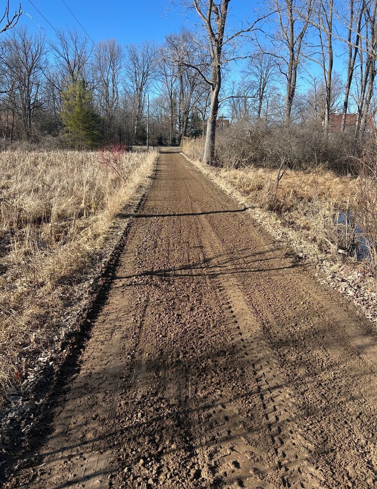Dirt path through a field, surrounded by dry grass and leafless trees under a blue sky.