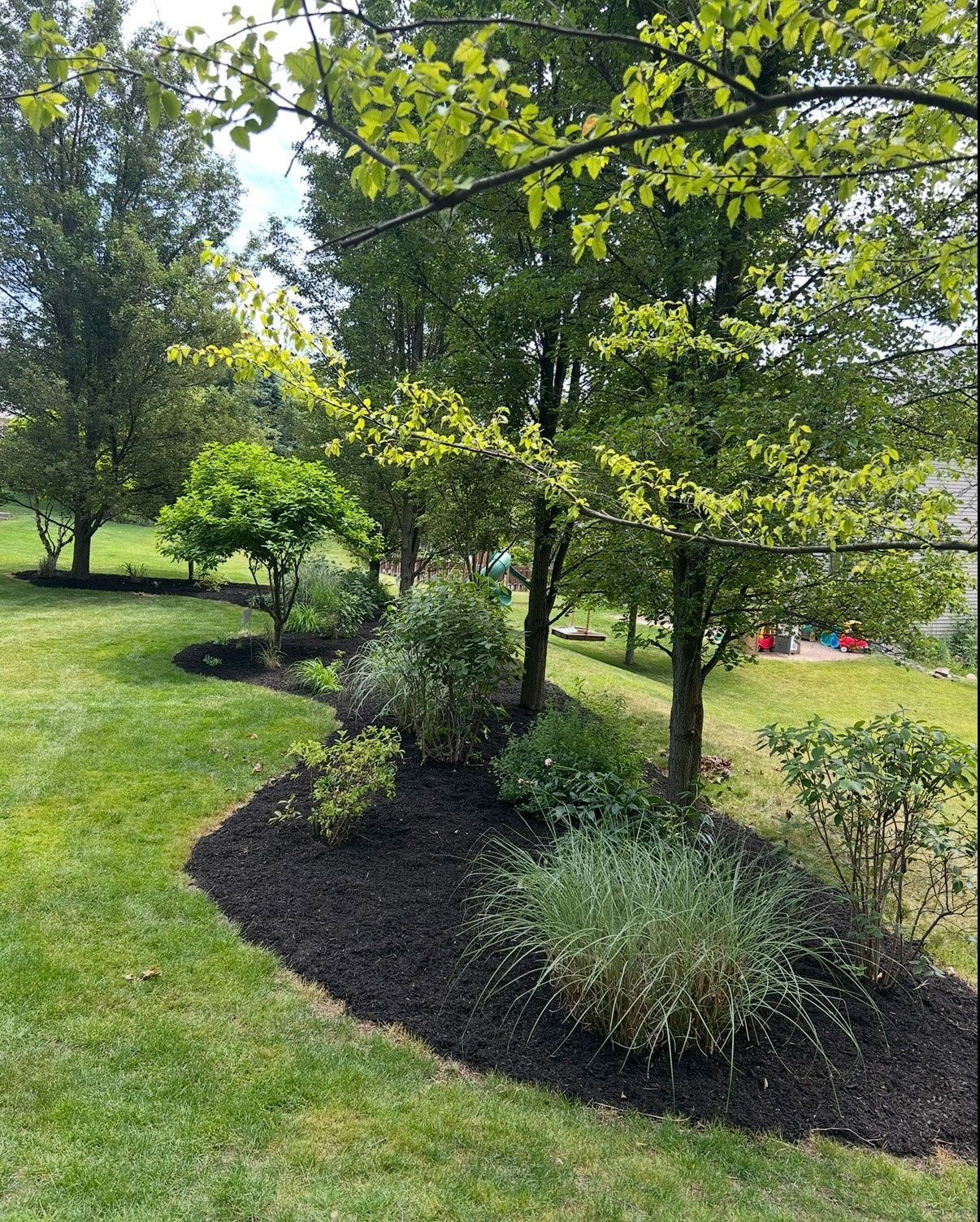 A landscaped garden bed with mulch and various green plants and small trees.