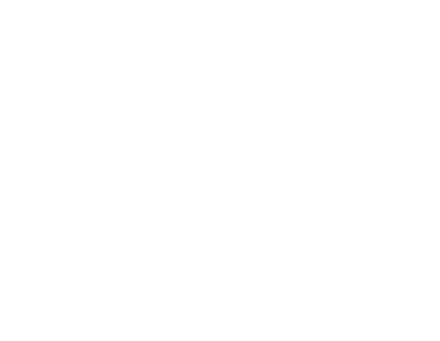 Carolina Southern Scapes Logo