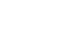 Adoption Icon Adoption Icon