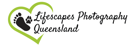 The logo for lifescapes photography queensland is a heart with a footprint in it.