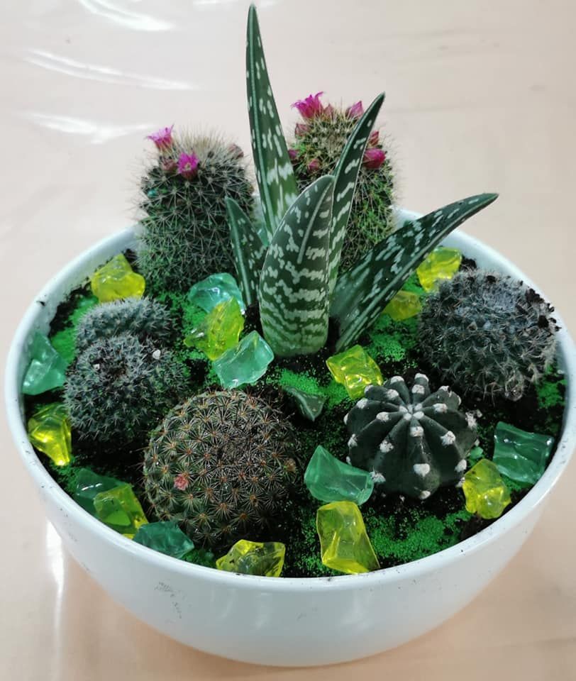 Fioraio D'Ambrogio, fiori e piante, idee regalo