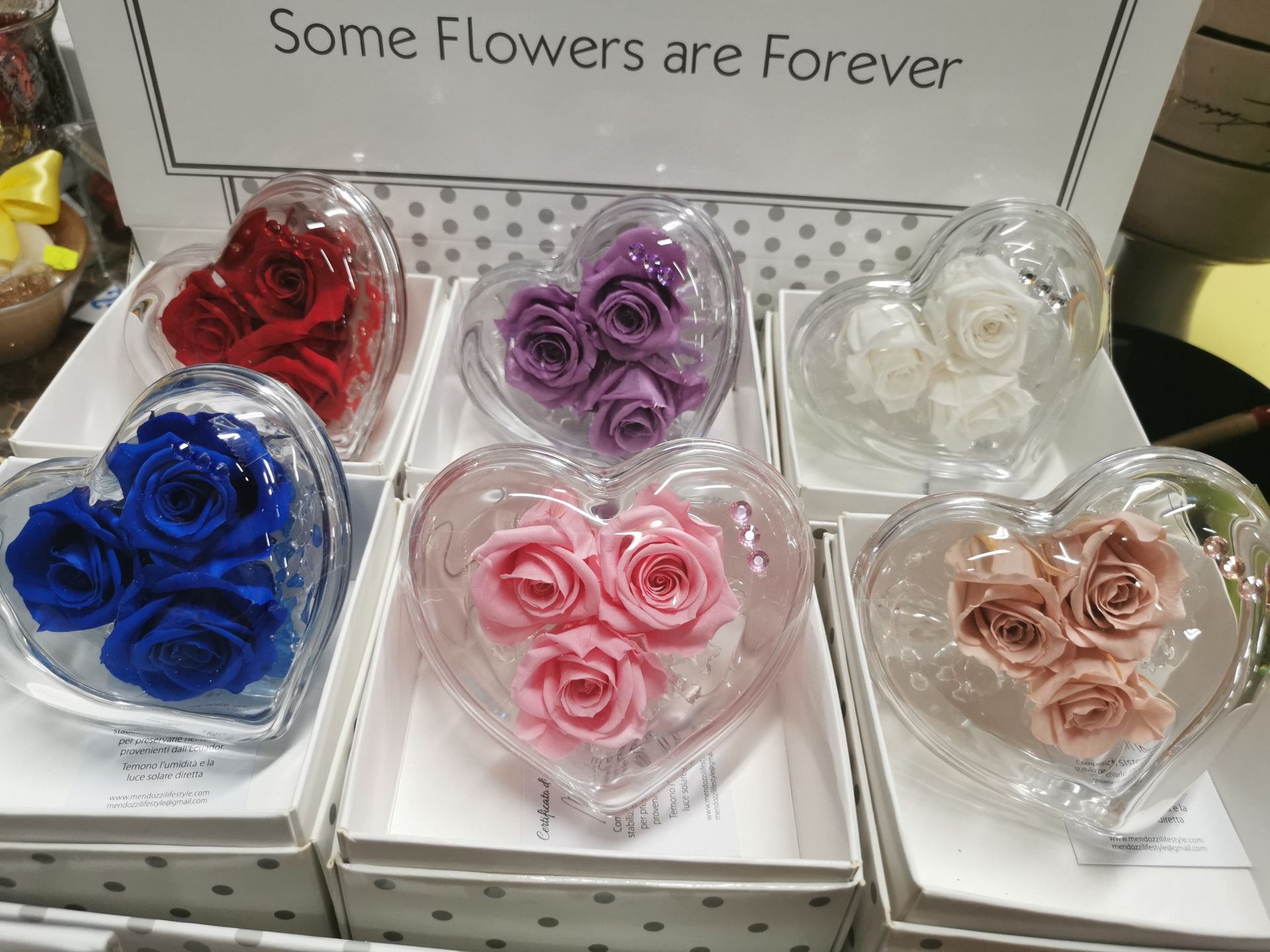 Fioraio D'Ambrogio, fiori e piante, idee regalo