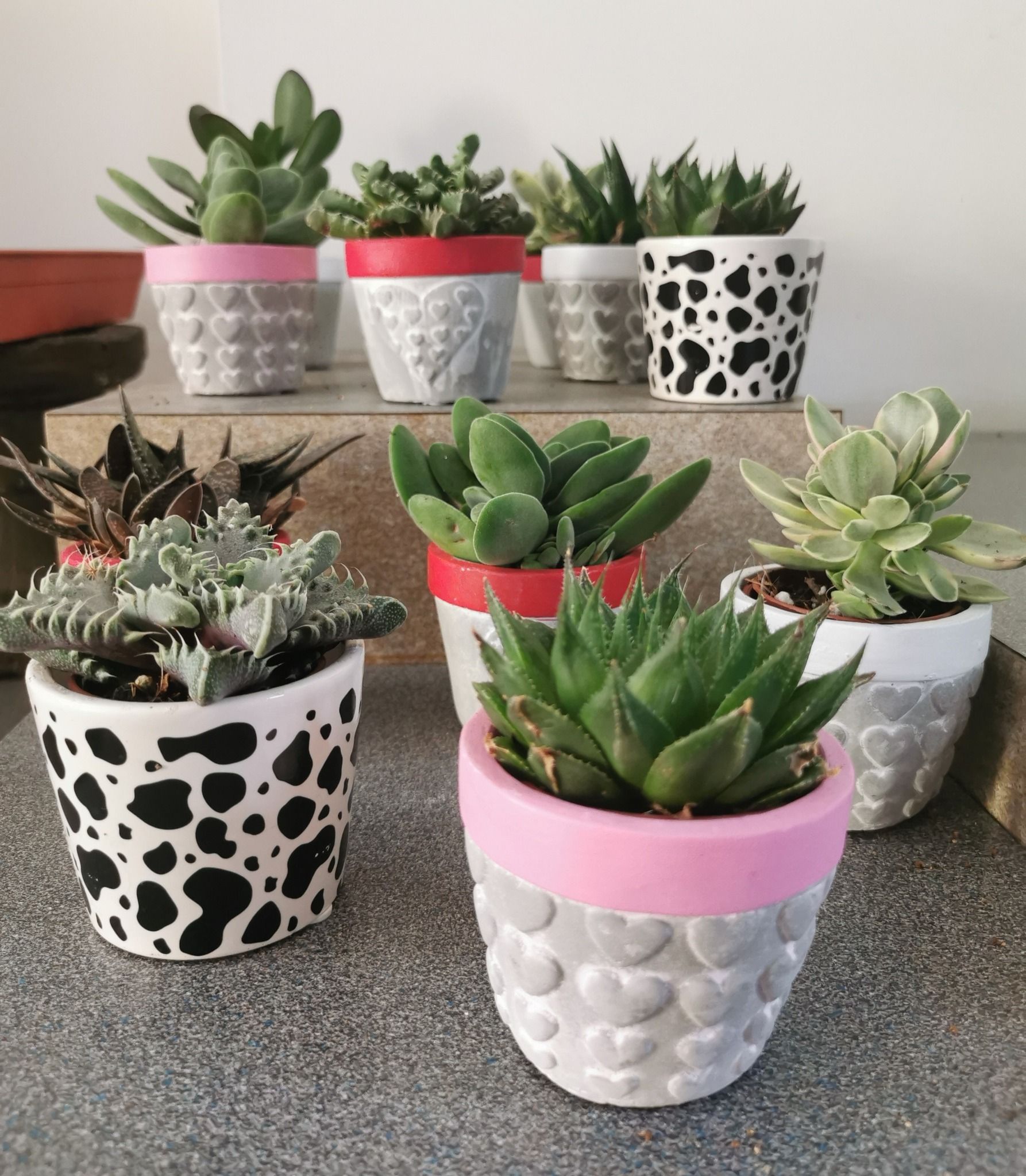 Fioraio D'Ambrogio, fiori e piante, idee regalo