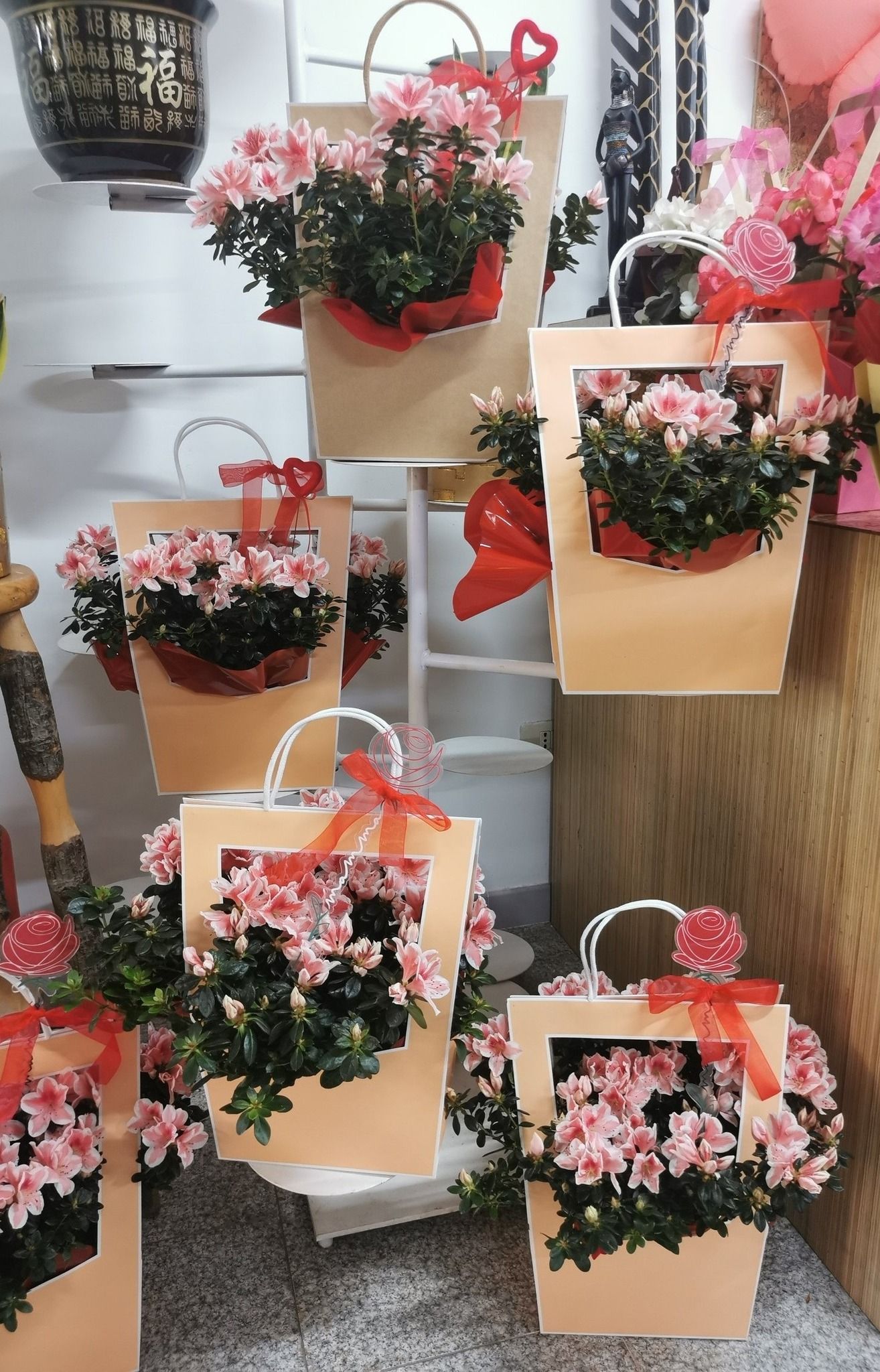 Fioraio D'Ambrogio, fiori e piante, idee regalo