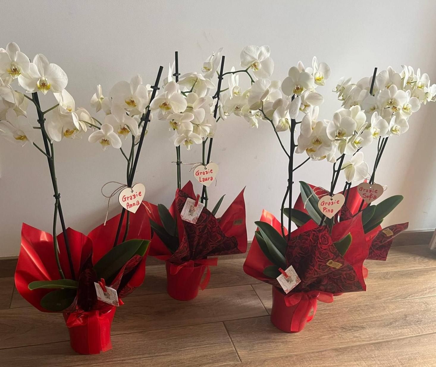 Fioraio D'Ambrogio, fiori e piante, idee regalo