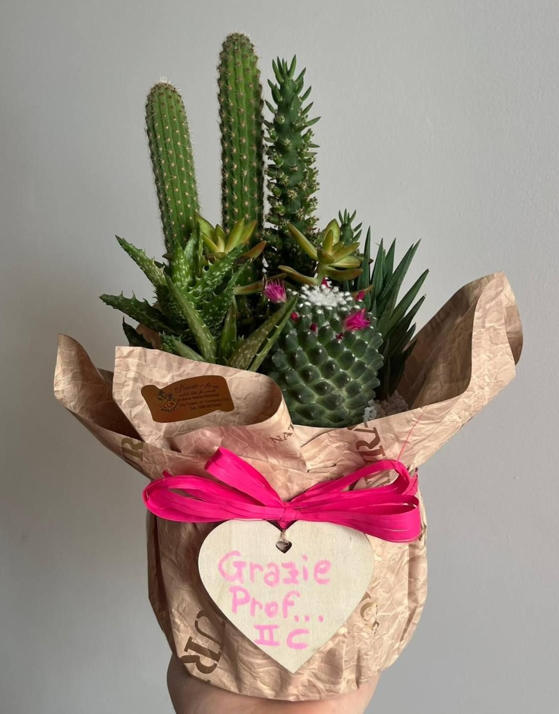 Fioraio D'Ambrogio, fiori e piante, idee regalo