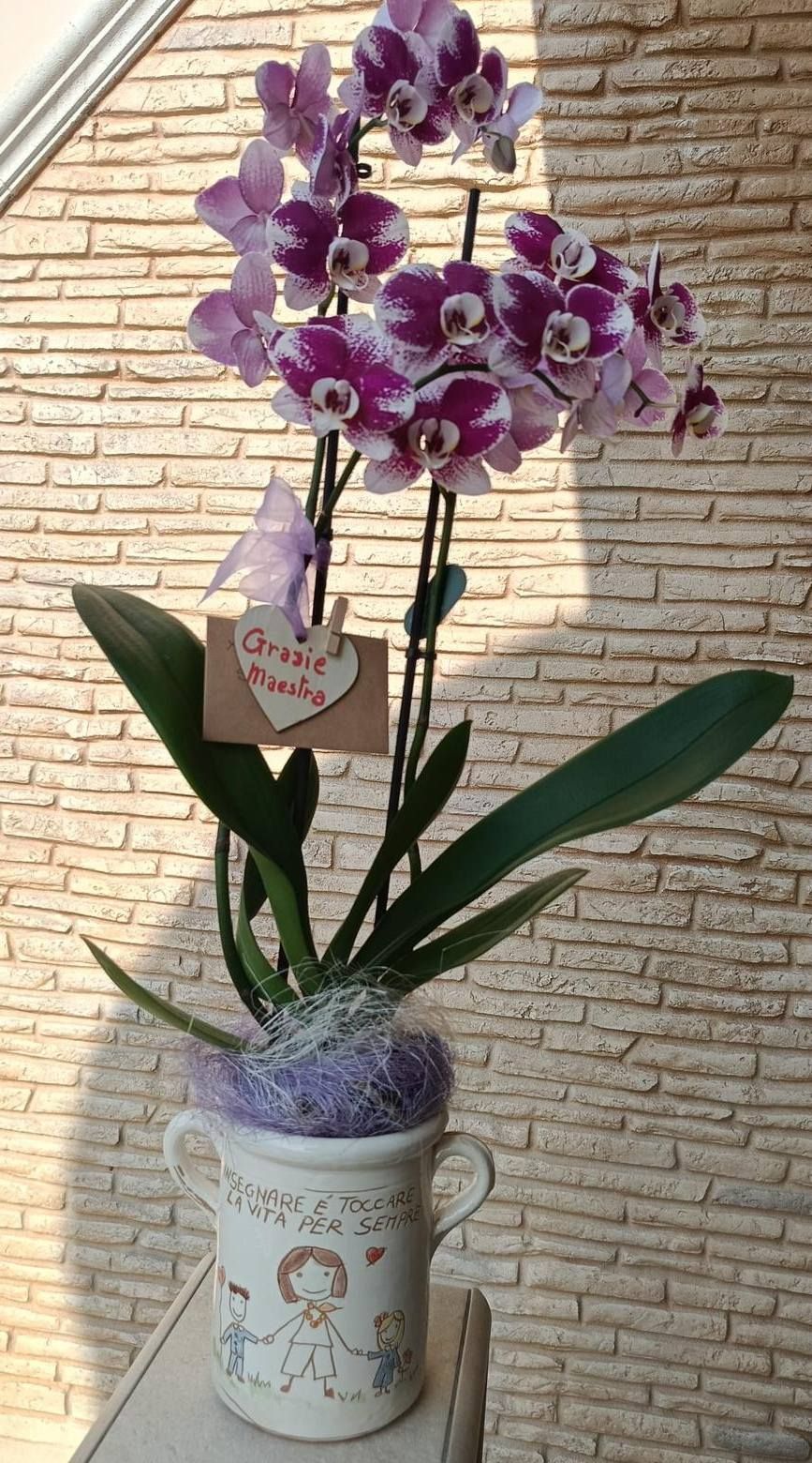 Fioraio D'Ambrogio, fiori e piante, idee regalo