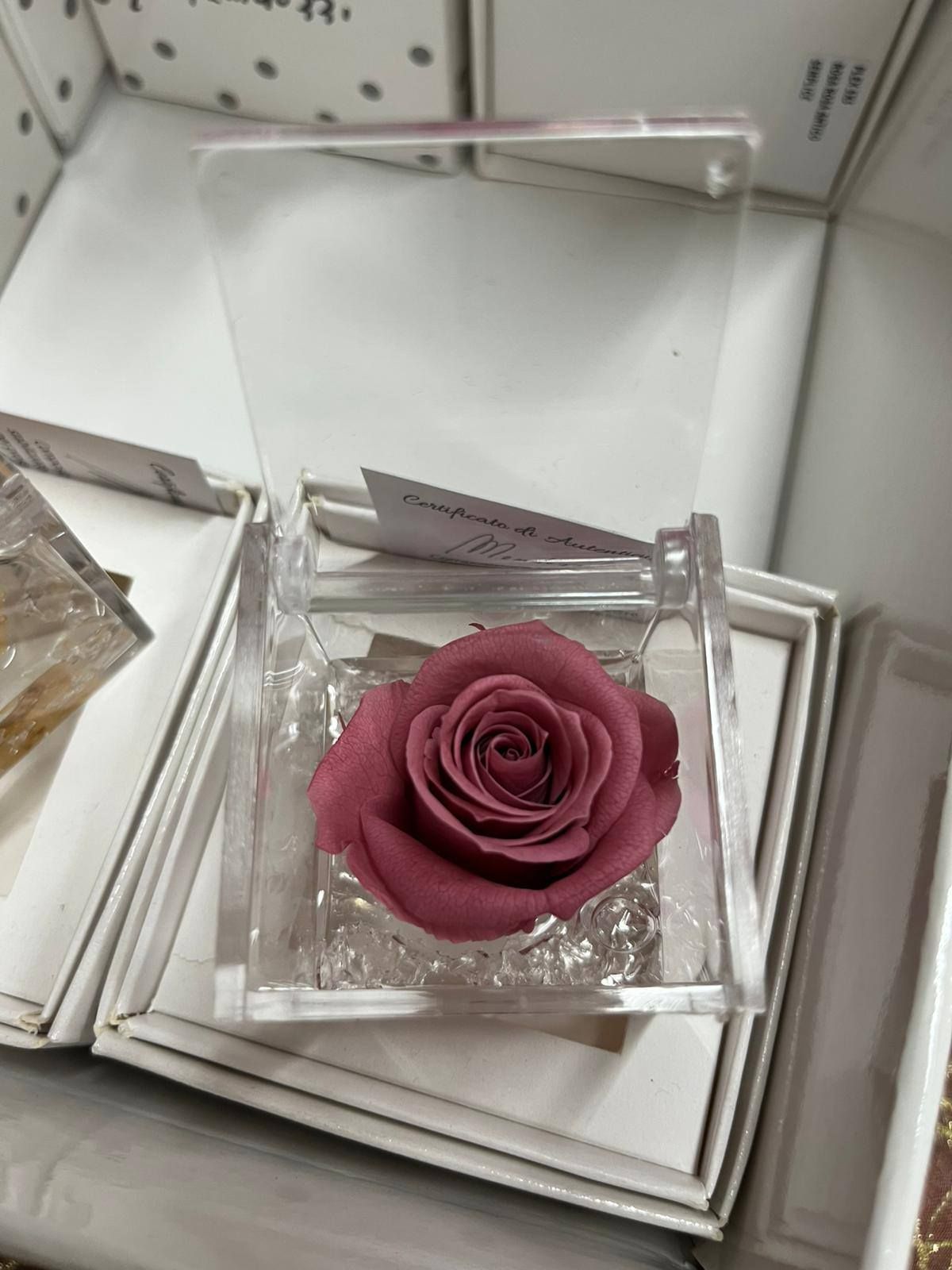 Fioraio D'Ambrogio, fiori e piante, idee regalo