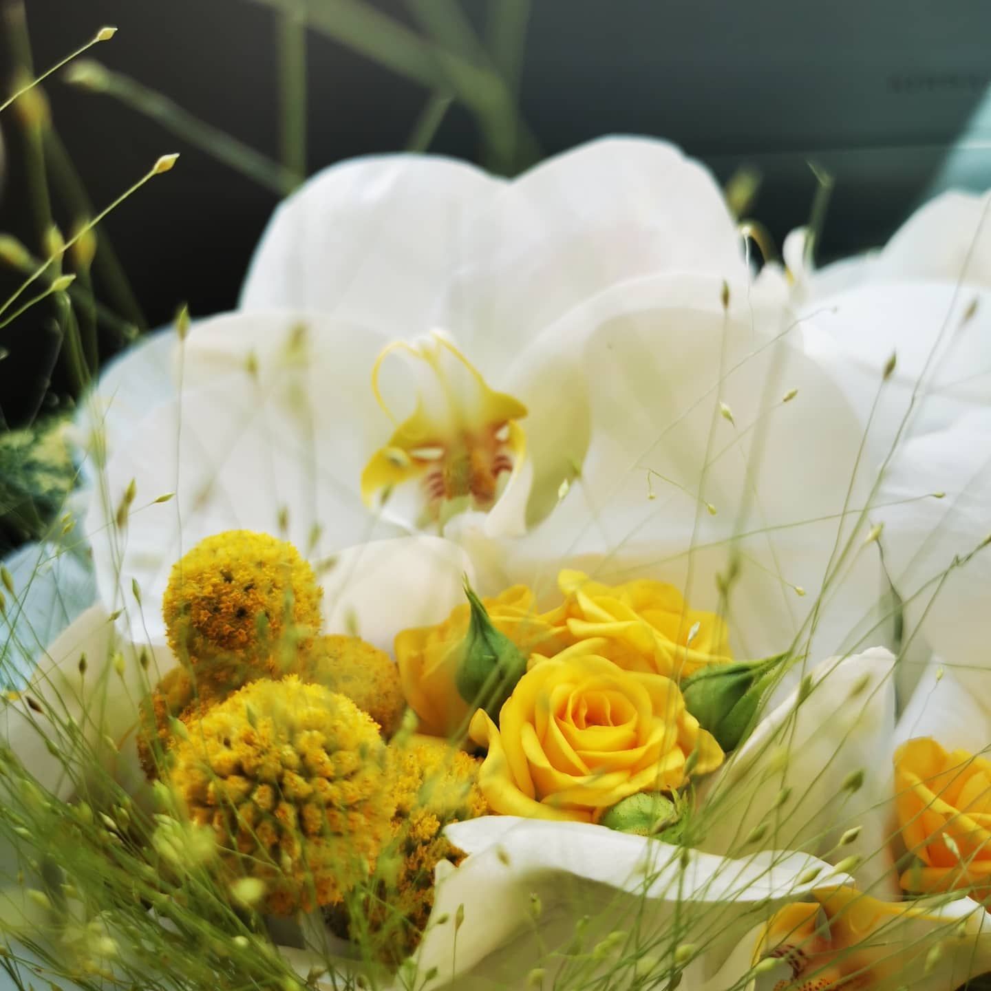 Fioraio D'Ambrogio, Onoranze funebri, allestimenti floreali