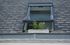 A window on the roof of a house with a plant growing out of it.