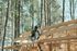 A man is sitting on a wooden structure in the woods.