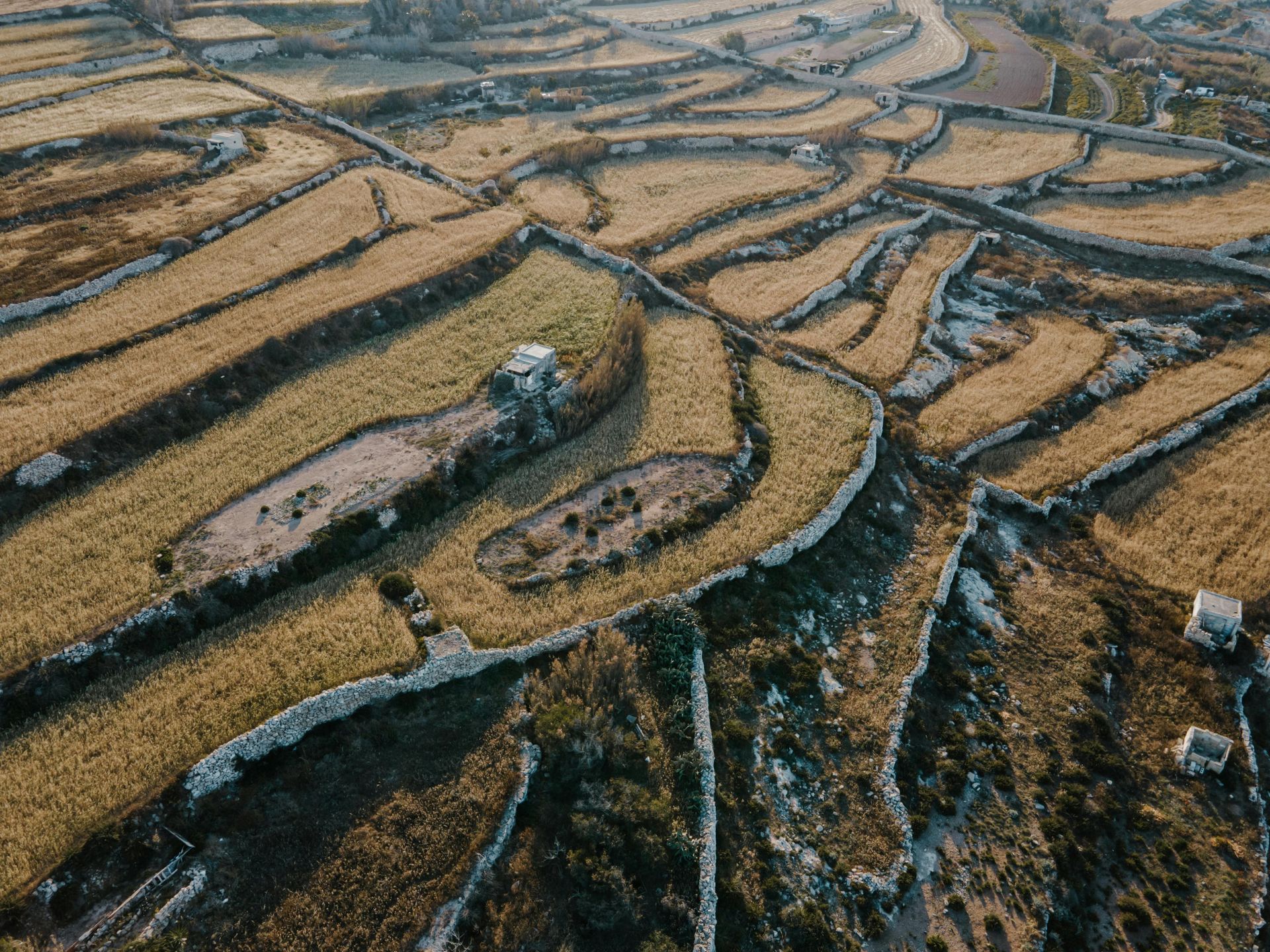 Una vista aérea de un exuberante campo verde con un río que lo atraviesa.