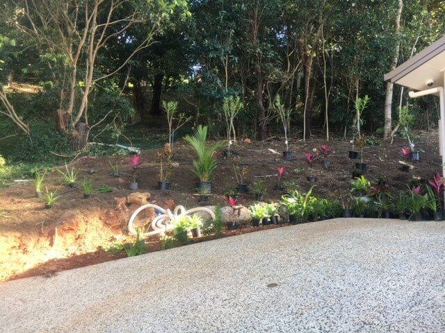 Clean Garden — Trinity Landscape in Cairns, QLD