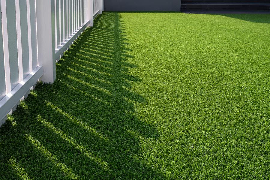Turf — Trinity Landscape in Cairns, QLD
