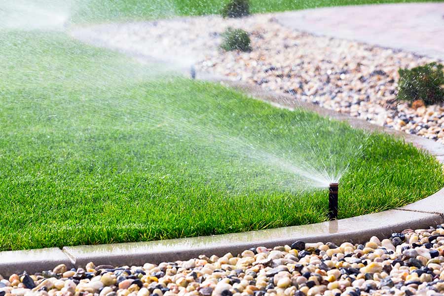 Irrigation Of Lawn — Trinity Landscape in Cairns, QLD