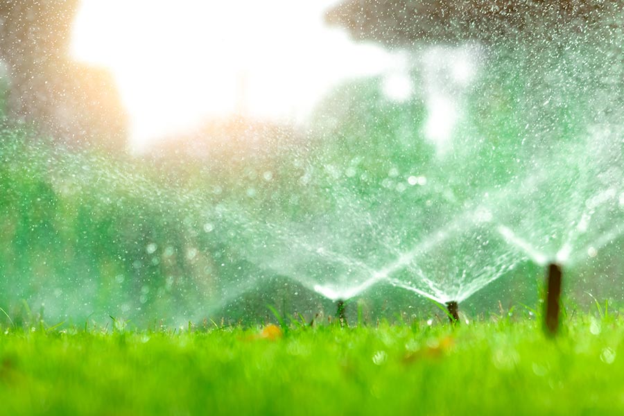 Automatic Lawn Sprinkler — Trinity Landscape in Cairns, QLD