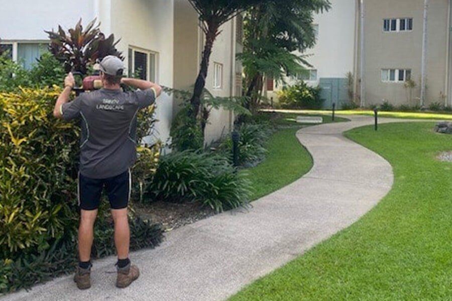Landscaping Maintenance — Trinity Landscape in Cairns, QLD