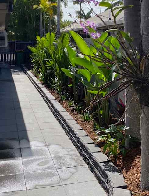 Side Garden with Native Plants — Trinity Landscape in Cairns, QLD