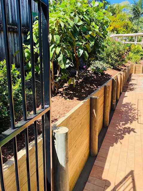 Elevated Garden with Metal Fence — Trinity Landscape in Cairns, QLD